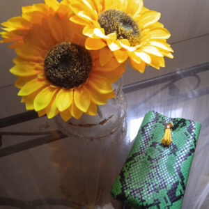 POCKET MOBILE OR GLASSES